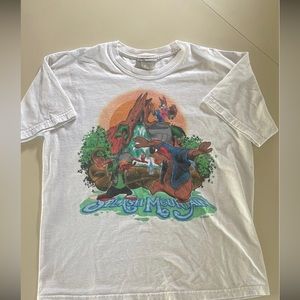 RARE Disney World Parks Splash Mountain T Shirt Memorabilia Collectible